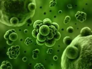 Conheça cinco doenças causadas por bactérias na água